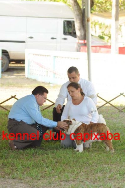 Clique sobre a foto para fechar